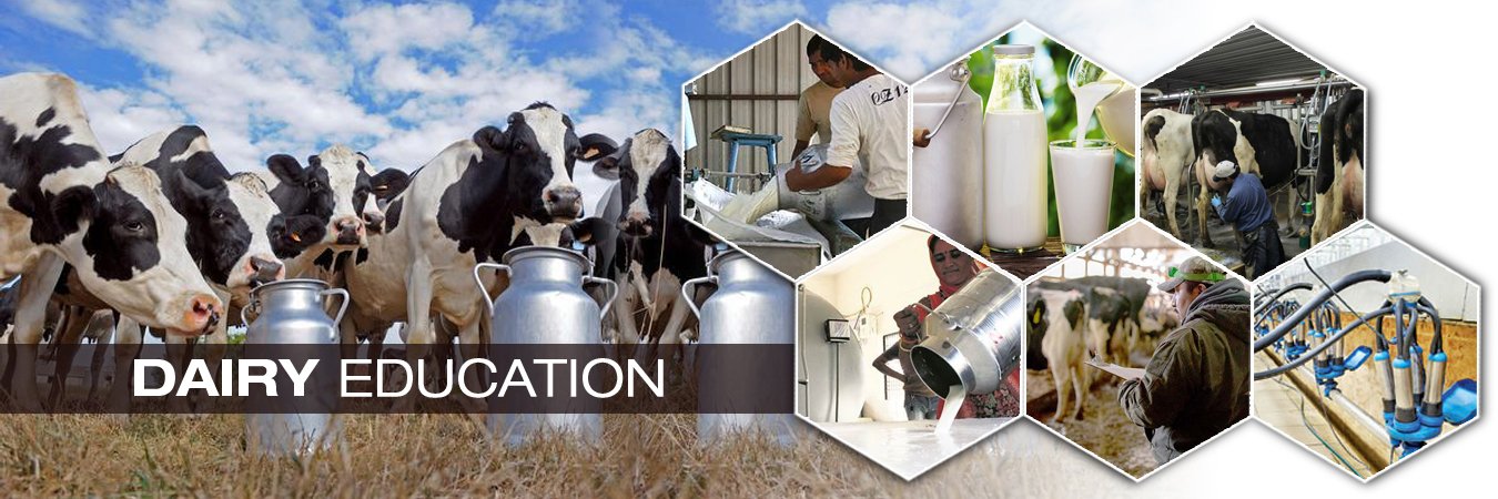 ELECTRICAL & ELECTRONICS EDUCATION