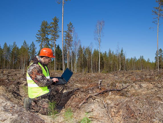 YOGA AND NATUROPATHY SCHOOL